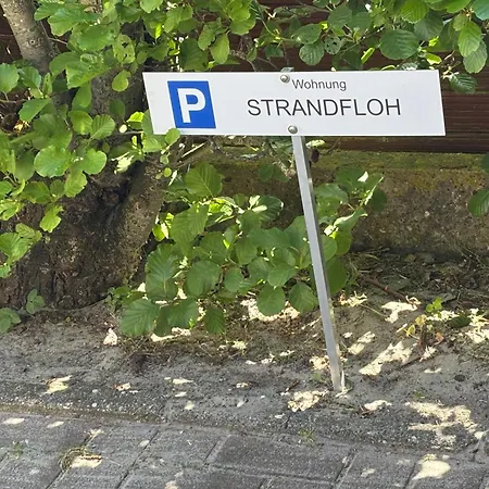 Strandfloh *