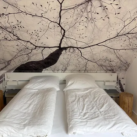 Strandfloh Lägenhet Borkum